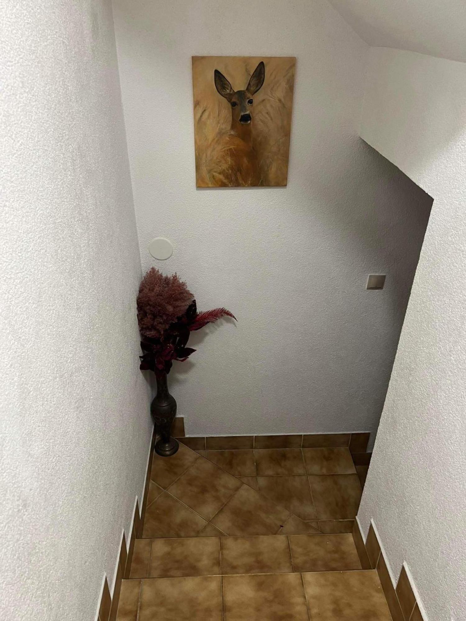 Privat Forest Liptovský Mikuláš Esterno foto