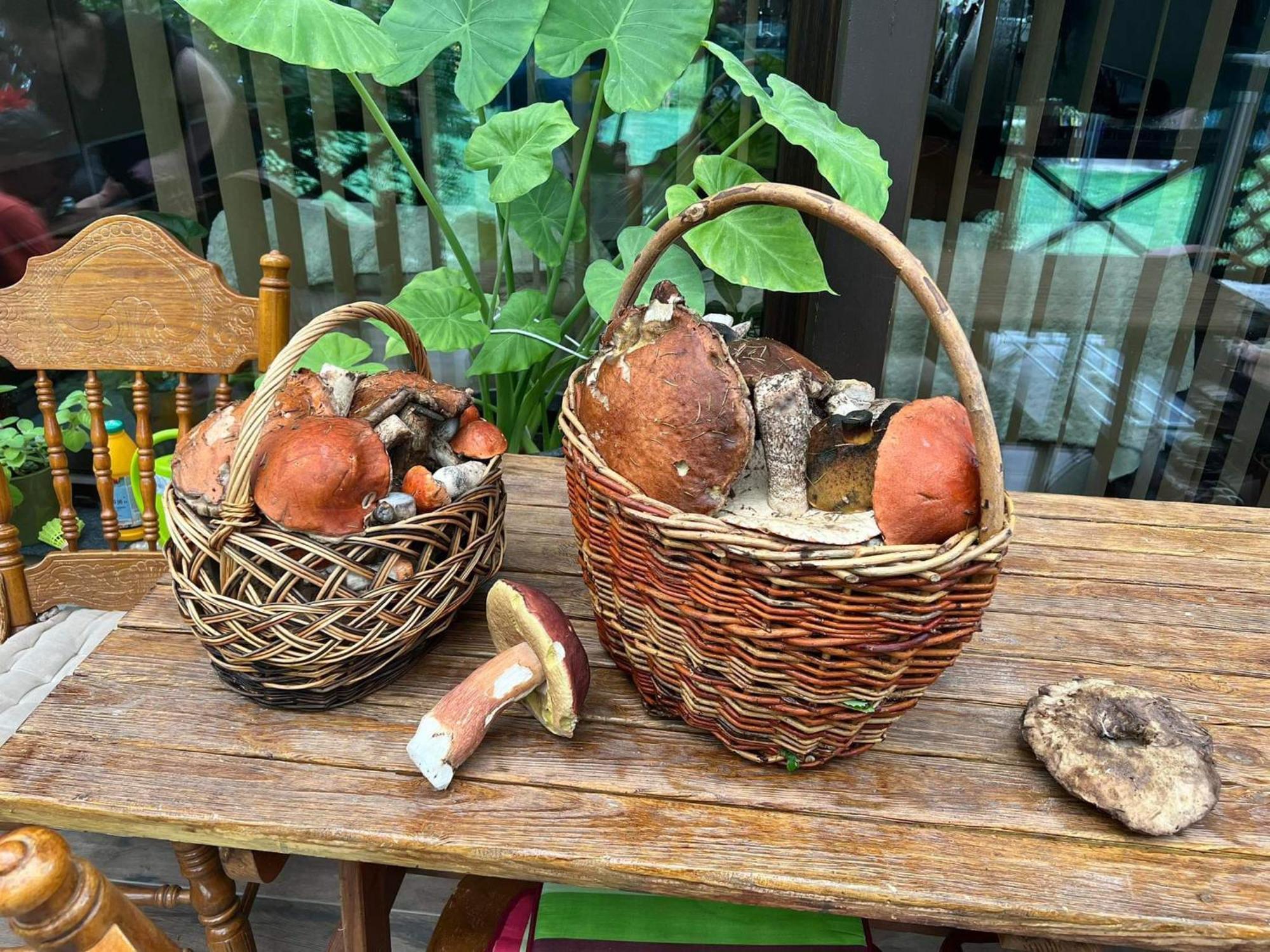 Privat Forest Liptovský Mikuláš Esterno foto