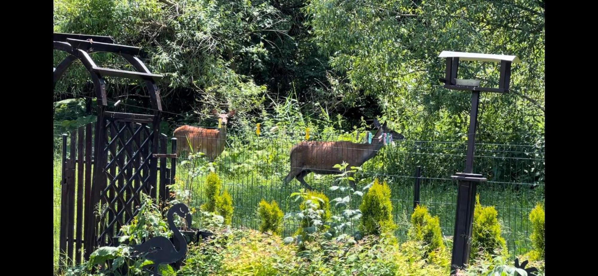 Privat Forest Liptovský Mikuláš Esterno foto